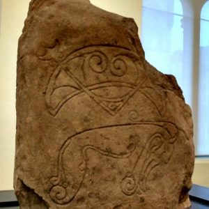 Strathmartine Pictish Stone